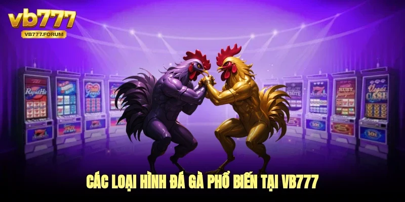 Các loại hình đá gà phổ biến tại vb777