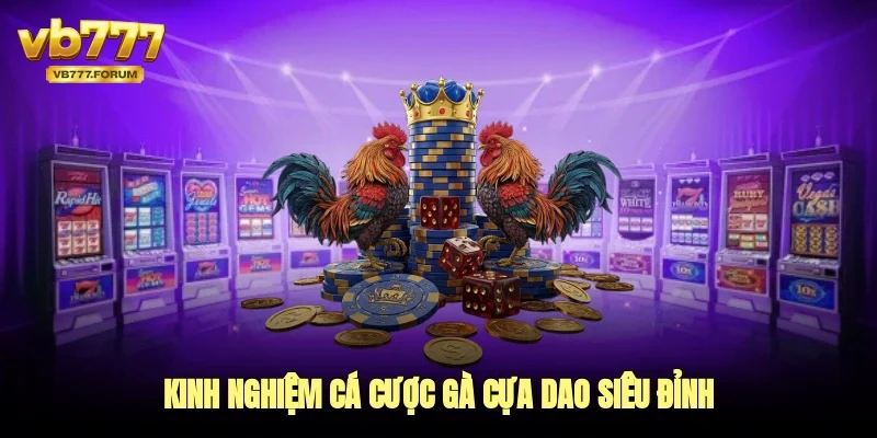 Kinh nghiệm cá cược gà cựa dao siêu đỉnh