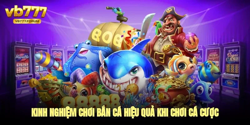 Kinh nghiệm chơi bắn cá hiệu quả khi chơi cá cược