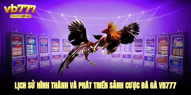 lịch sử hình thành và phát triển sảnh cược đá gà vb777