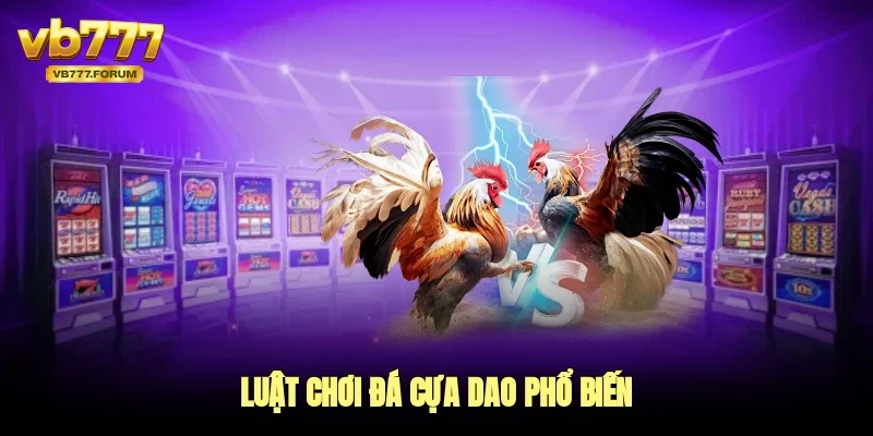 Luật chơi đá cựa dao phổ biến
