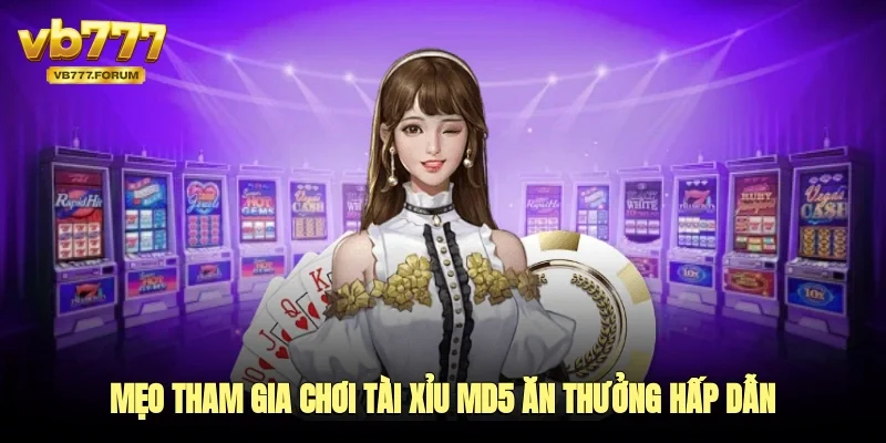 Mẹo tham gia chơi tài xỉu MD5 ăn thưởng hấp dẫn 