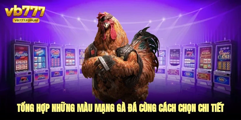 Tổng hợp những màu mạng gà đá cùng cách chọn chi tiết